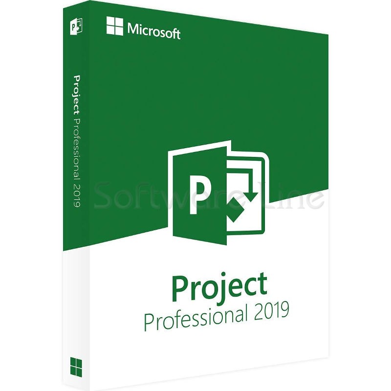 MS Project Professional 2019 Windows (One-Time Purchase)
